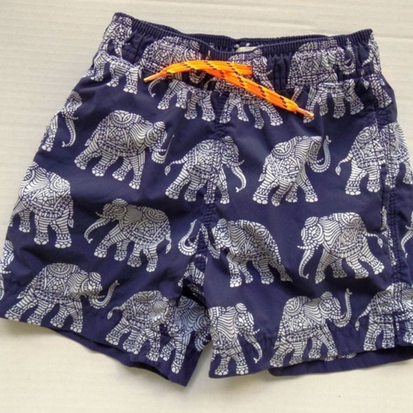 elephant swim trunks